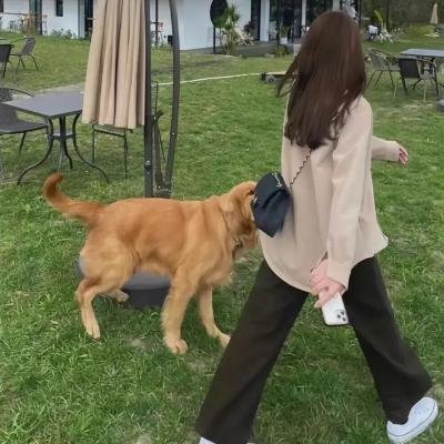 星舰迷航：阿尼亚拉号