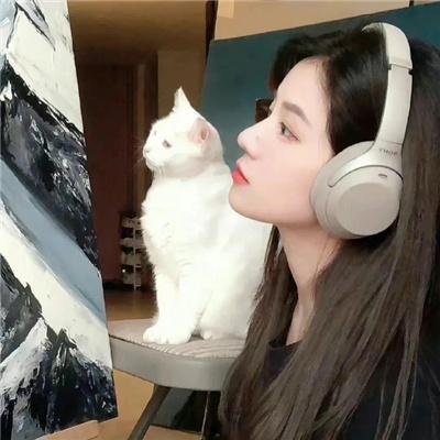 最后的城堡